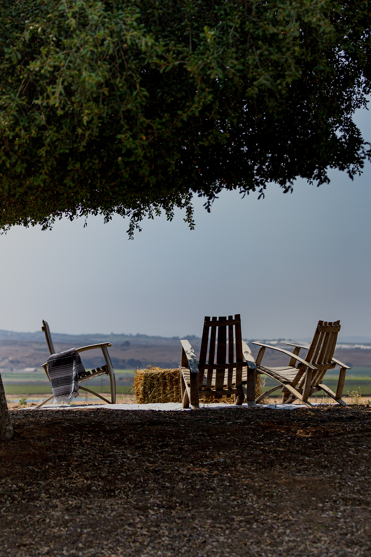 The Knoll at the Cambria Estate Winery