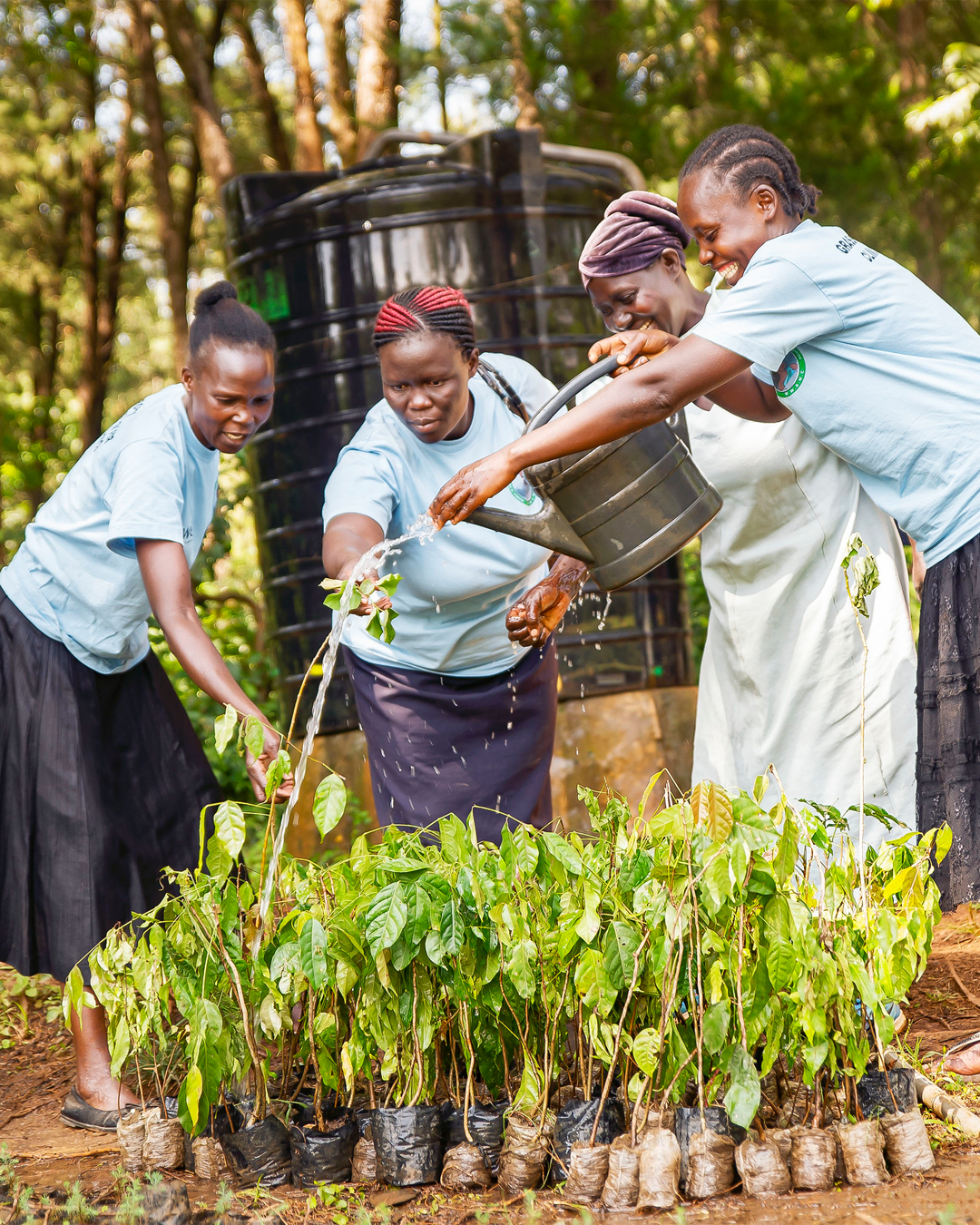 Women watering plants