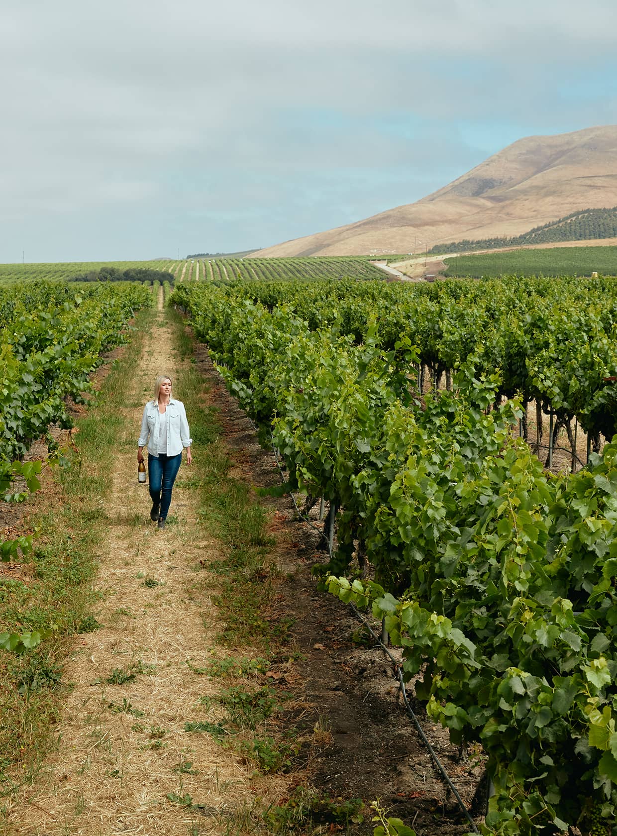 Winemaking